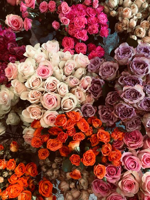 An assortment of fresh flower bouquets arranged closely together, featuring roses in various shades including soft pink, cream, lavender, and vibrant orange. The flowers are dense and lush, with petal