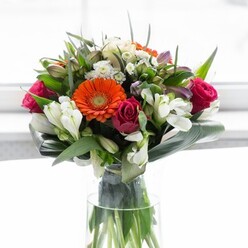 A stunning orchestration of nature's palette, this Maida Vale floral creation harmonises creamy beige and vivid orange gerberas with the royal allure of deep fuchsia roses. Set within a crystal-clear vase, the bouquet seems illuminated by the soft, natural light common to the peaceful flats along Castellain Road. The large, cheerful faces of the gerberas radiate warmth, their petals fluted and delicate, while the central discs draw the eye with earthy contrast. Luxurious roses nestle amidst pure white alstroemeria and clusters of petite filler flowers, their variety lending the composition both depth and a nuanced, painterly texture. Dramatic, paddle-shaped green aspidistra leaves sweep around the blooms, forming a verdant, structured collar and enhancing the abundant, rounded silhouette. Slender, pointed greenery fills gaps, balancing volume and airiness, and the visible stems through the vase suggest a freshly gathered, hand-crafted touch. Gentle light washes over the bouquet, elevating every colour, while subtle hints of scent-sweet rose, understated lily, and green leaf-whisper of garden mornings in Maida Vale. Whether given in celebration, as a timeless gesture of gratitude, or simply to elevate the everyday, this arrangement reflects the skill and flair of Maida Vale Flowers, echoing the area's blend of quiet tradition and vibrant life.